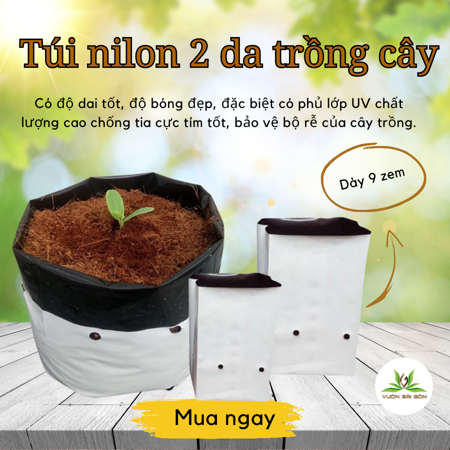 Tui Nilon 2 Da Trang Den Trong Cay (3)