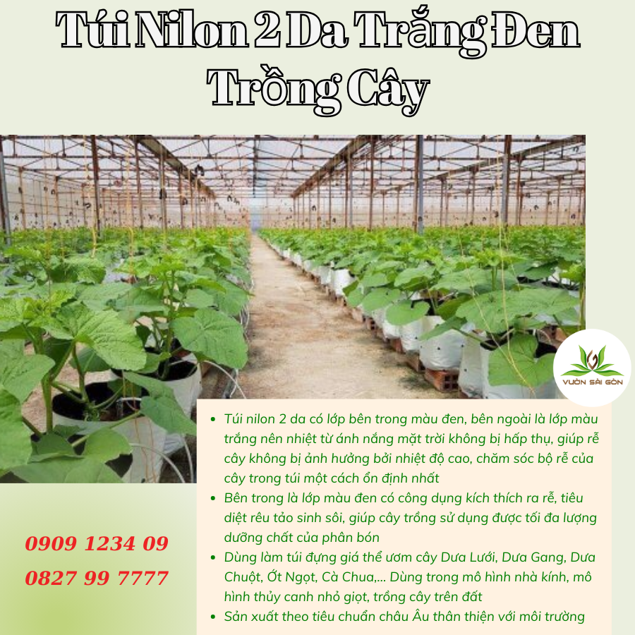 Tui Nilon 2 Da Trang Den Trong Cay Tui Nilon 2 Da Trang Den Trong Cay