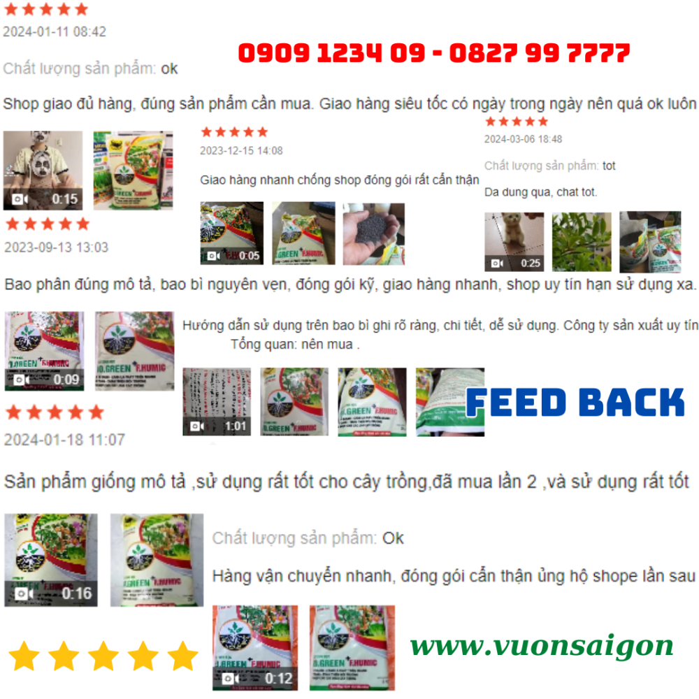 Phan Huu Co Bio Green Humic