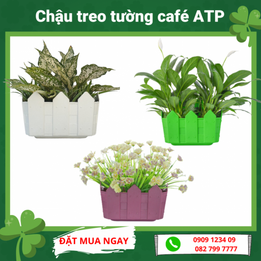 Chau Teo Tuong Cafe Atp