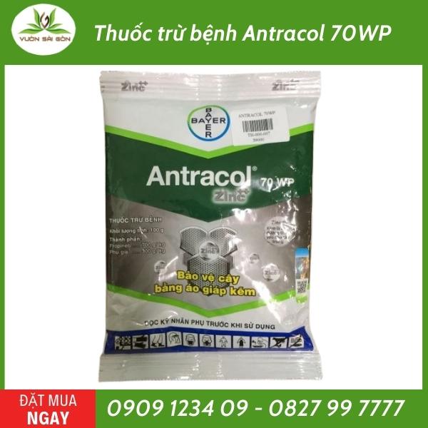 antracol 70wp