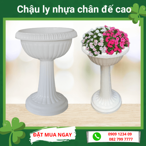 Chau Ly Nhua Chan De Cao