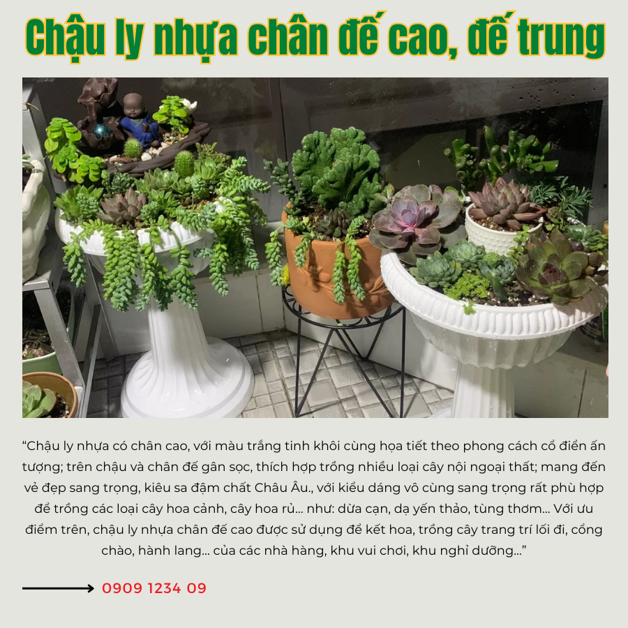 Chau Ly Nhua Chan De Cao