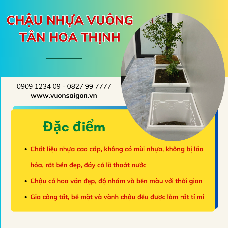 Chau Nhua Vuong Tan Hoa Thinh