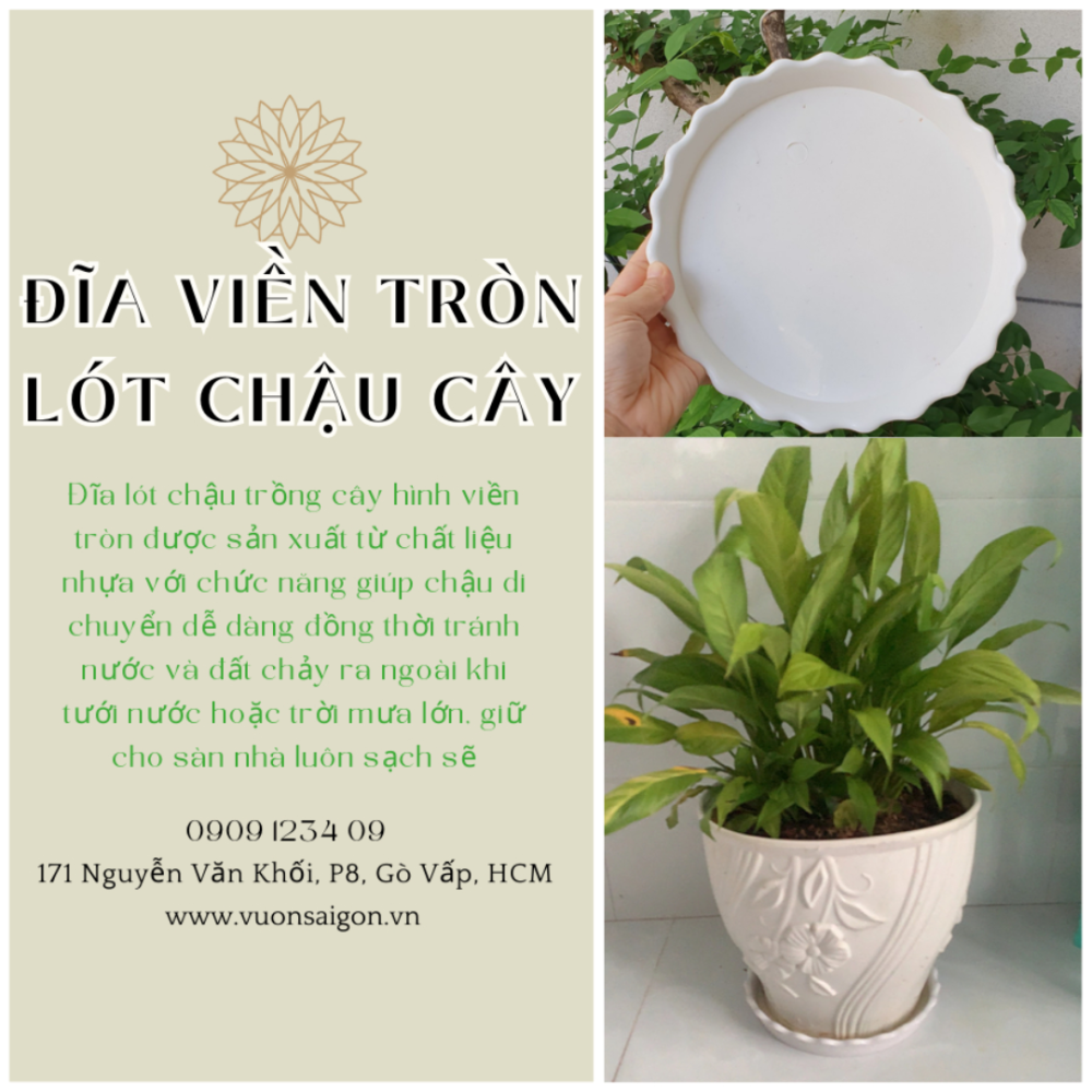 Dia Vien Tron Lot Chau Cay (5)
