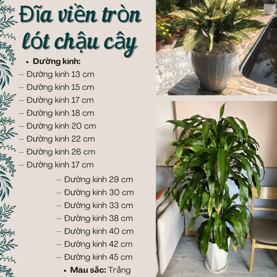Dia Vien Tron Lot Chau Cay