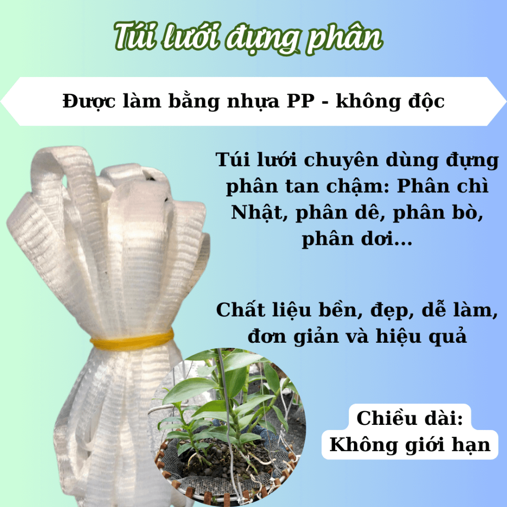 Luoi Dung Phan Trang