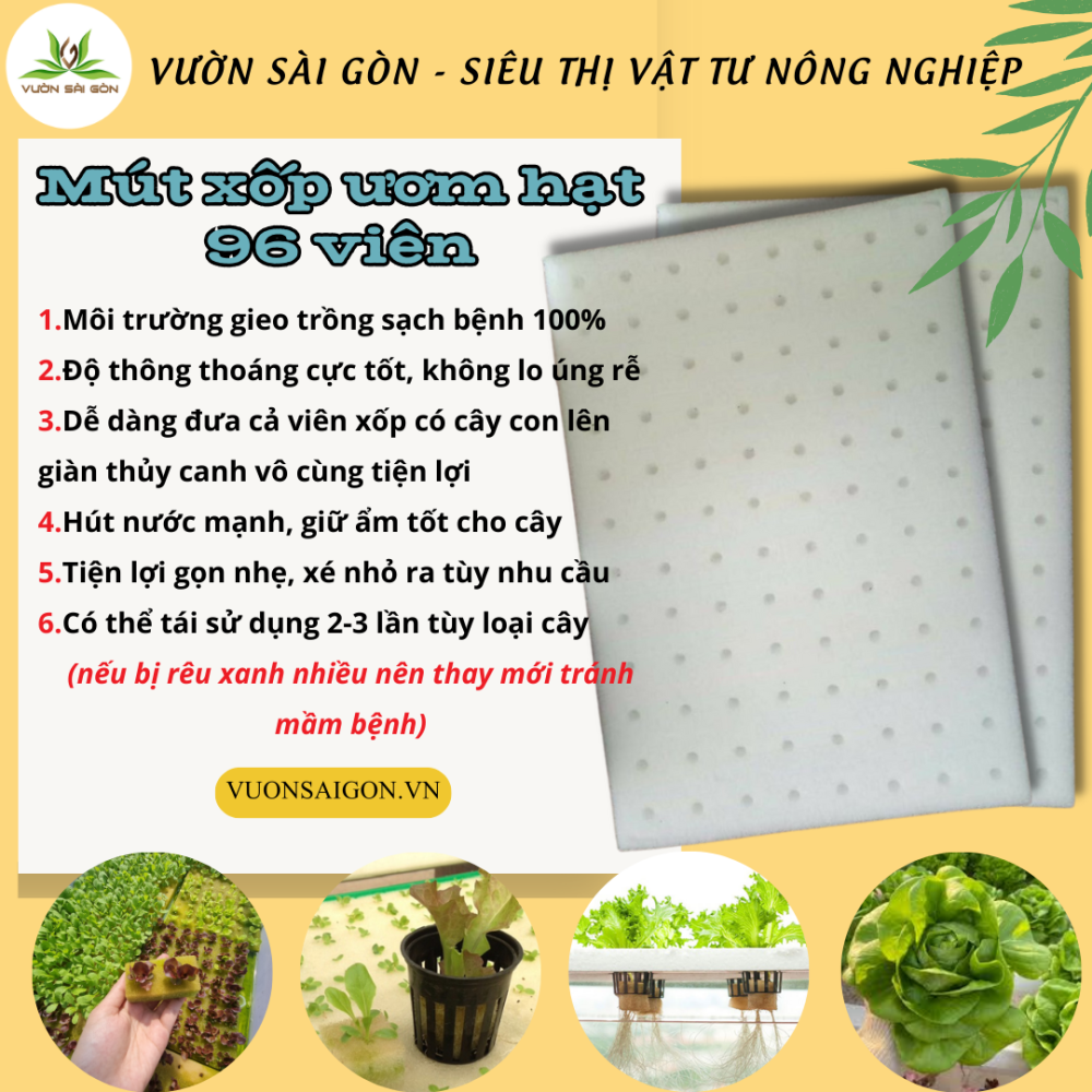 Mut Xop Uom Hat Trong Rau Thuy Canh