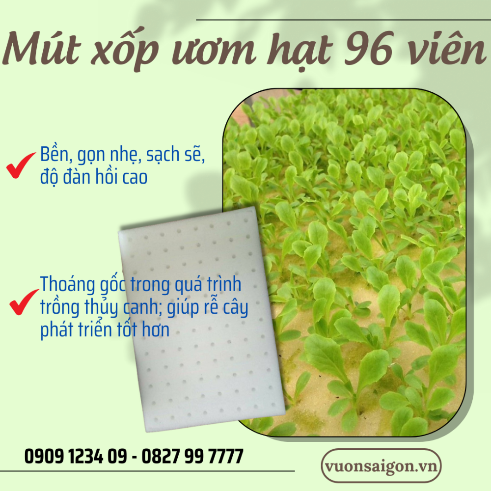 Mut Xop Uom Hat