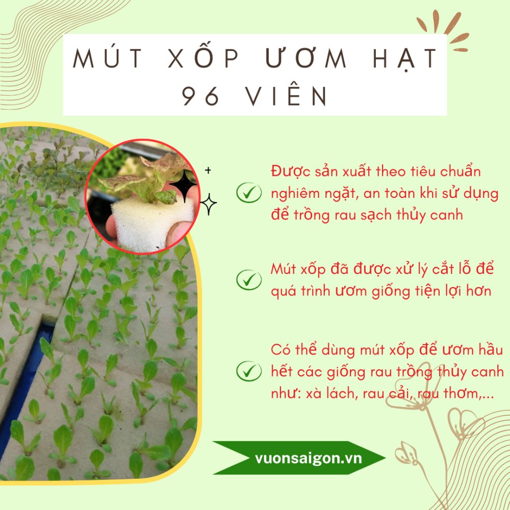 Mut Xop Uom Rau Thuy Canh