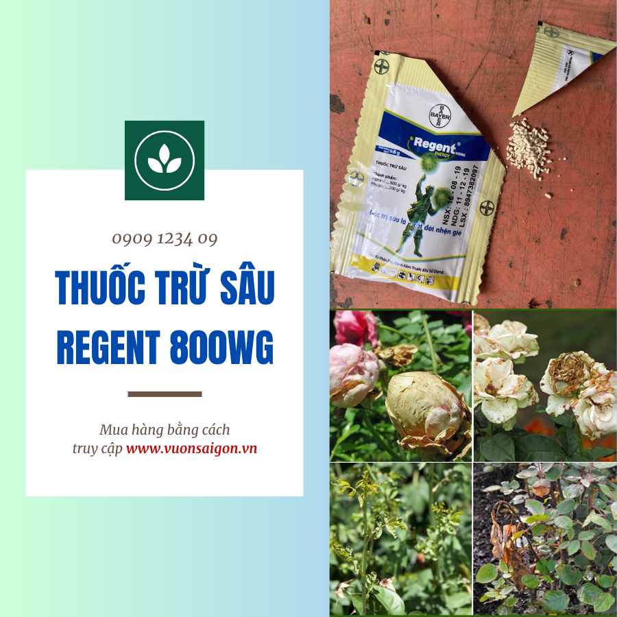 Thuoc Tru Sau Regent 800wg (3)