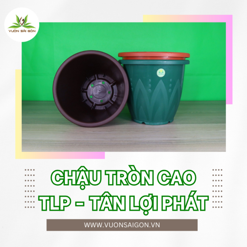 Chau Nhua Tron Cao Talopa (3)