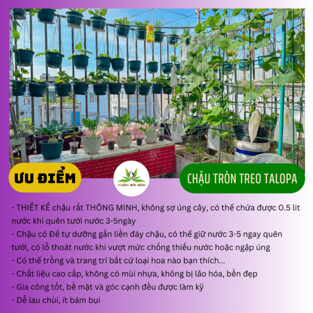 Chau Nhua Tron Treo Talopa (1)