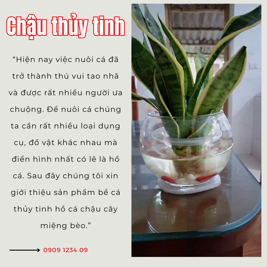 Chau Thuy Sinh (1)
