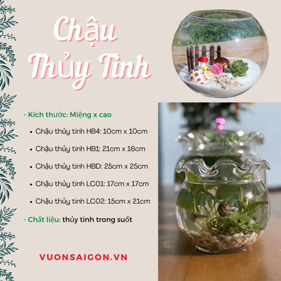 Chau Thuy Tinh