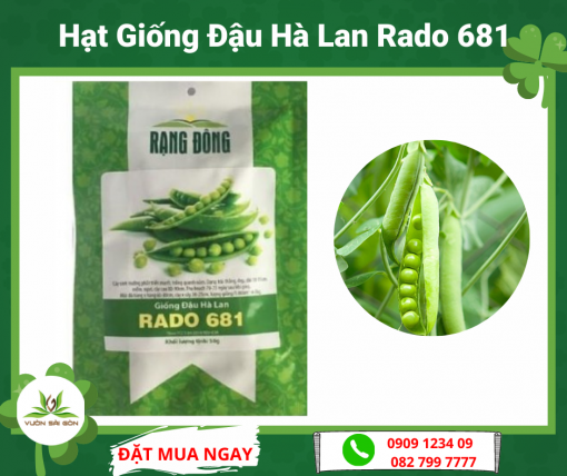 Hat Giong Dau Ha Lan Rado 681