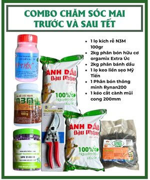 Combo chăm sóc mai trước và sau Tết
