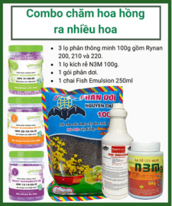 Combo Hoa Hong