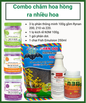 Combo Hoa Hong