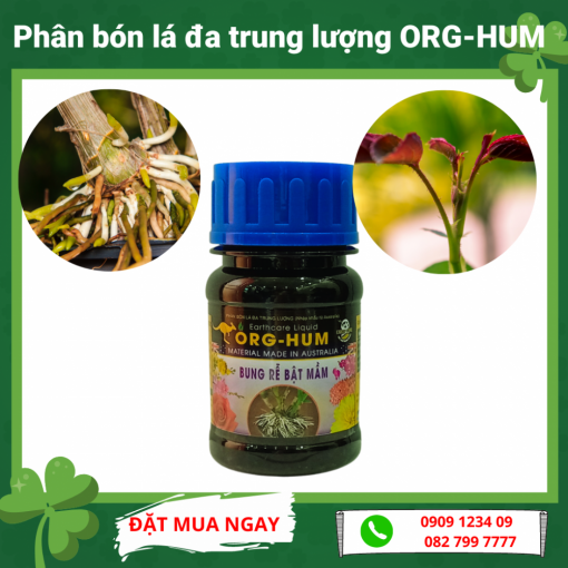 Phan Bon La Da Trung Luong Org Hum