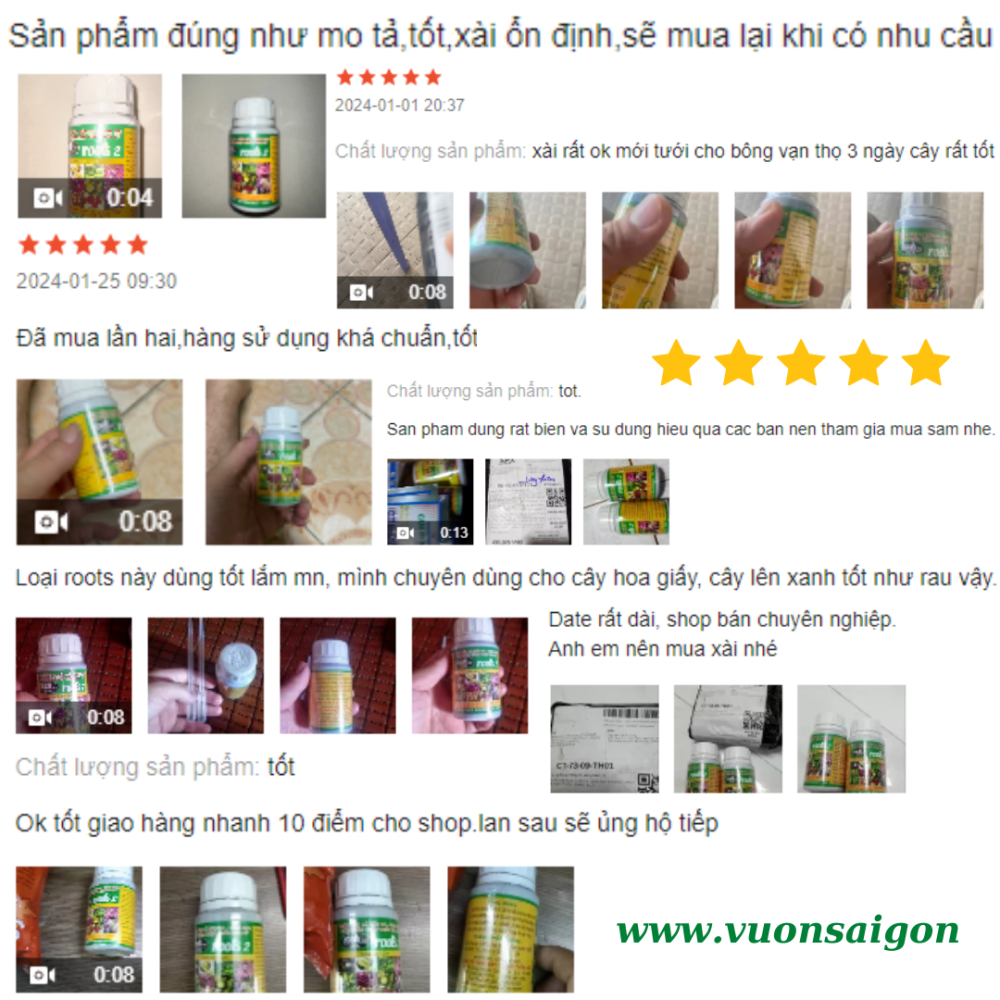 Phan Bon La Roots 2