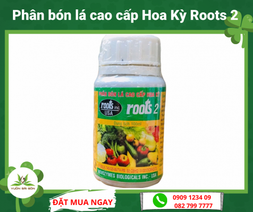Phan Bon La Roots 2