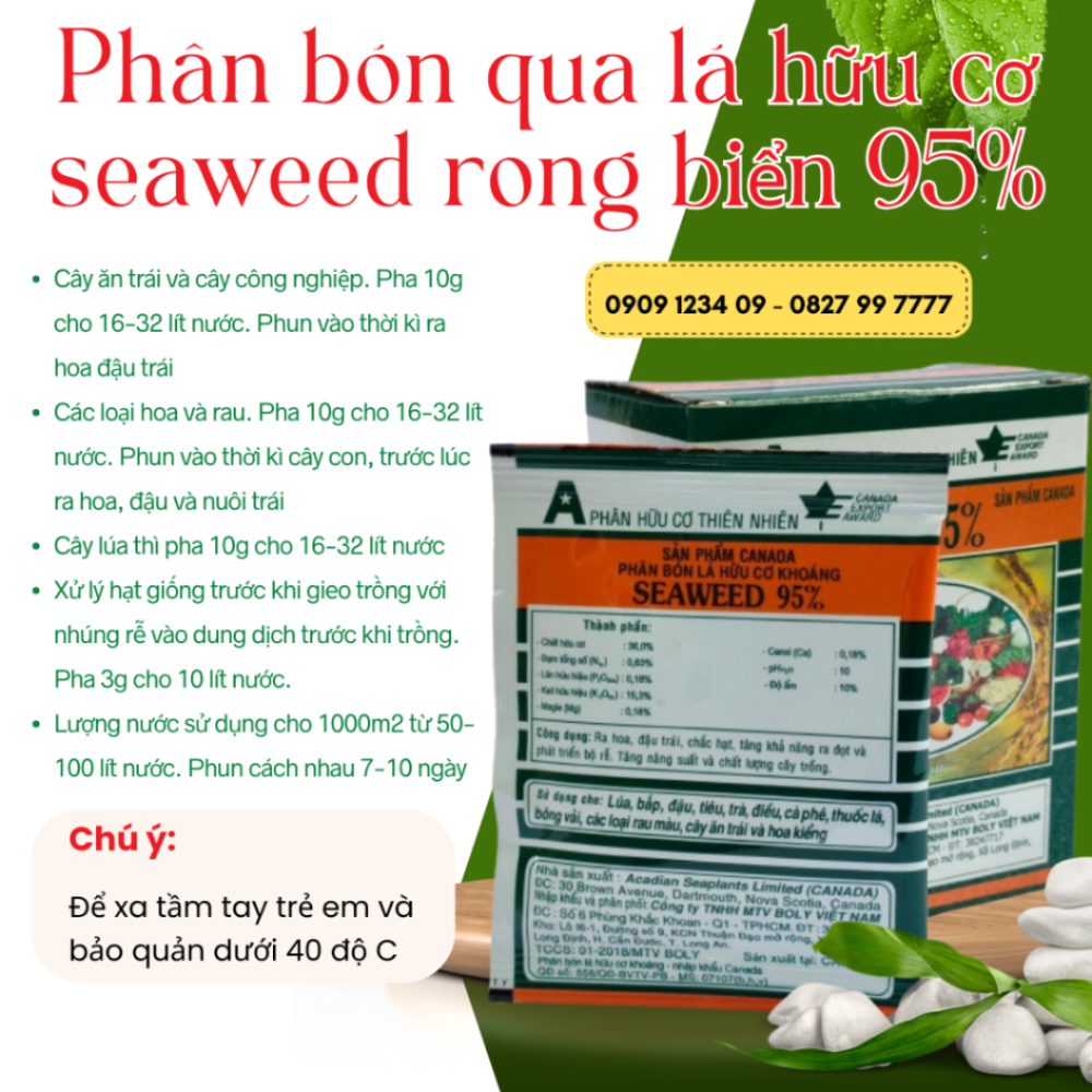Phan Bon La Seaweed Rong Bien (1)