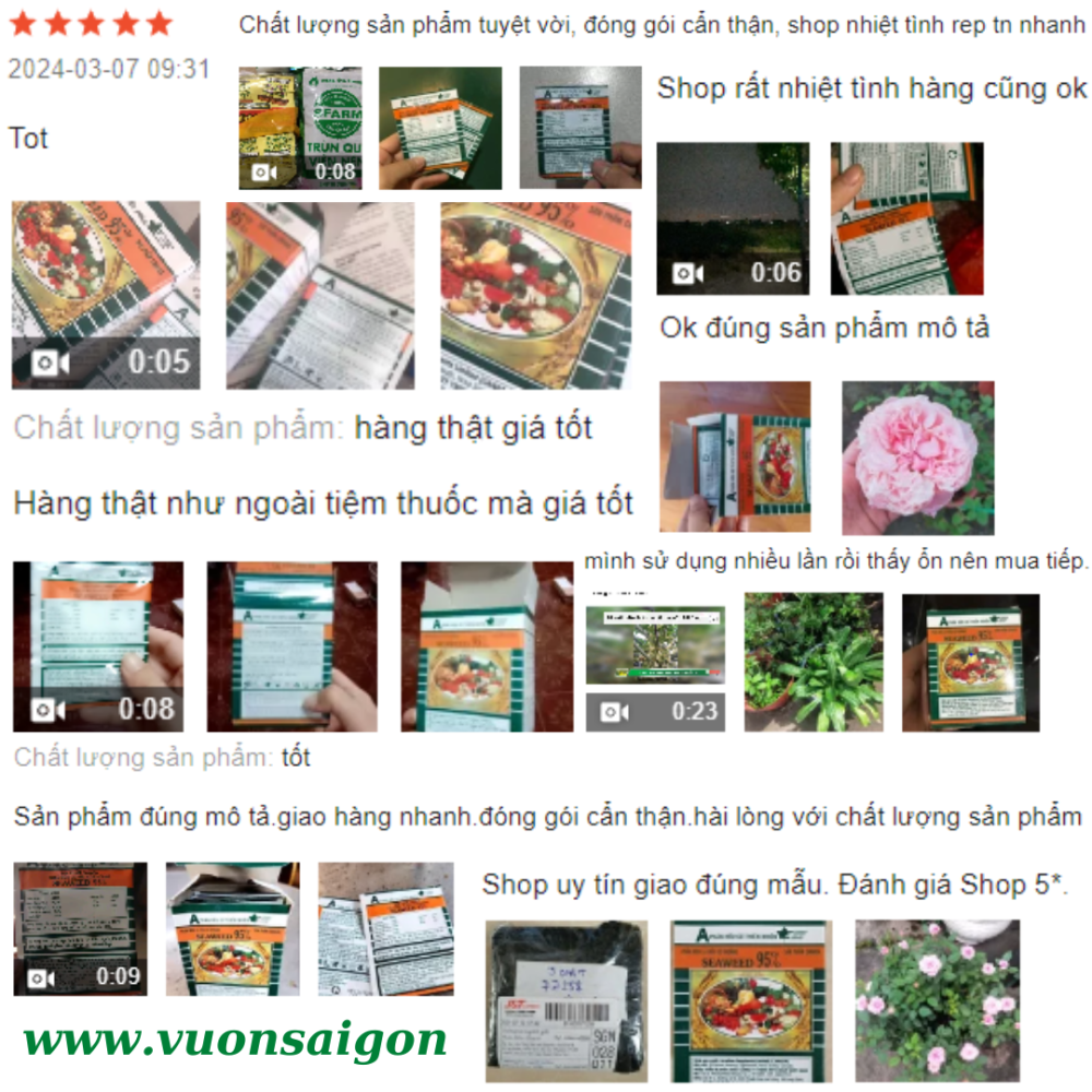 Phan Bon La Seaweed Rong Bien (2)