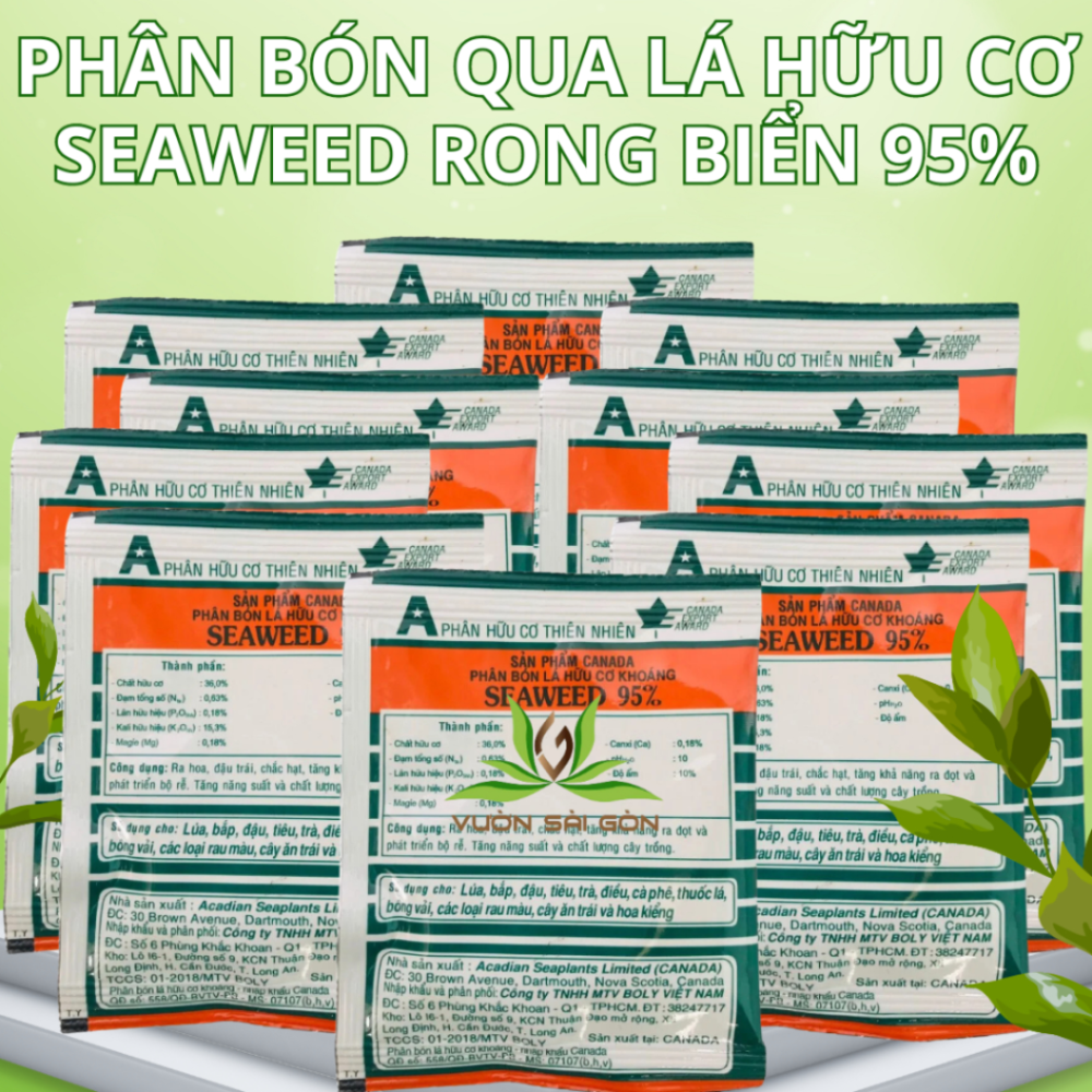 Phan Bon La Seaweed Rong Bien