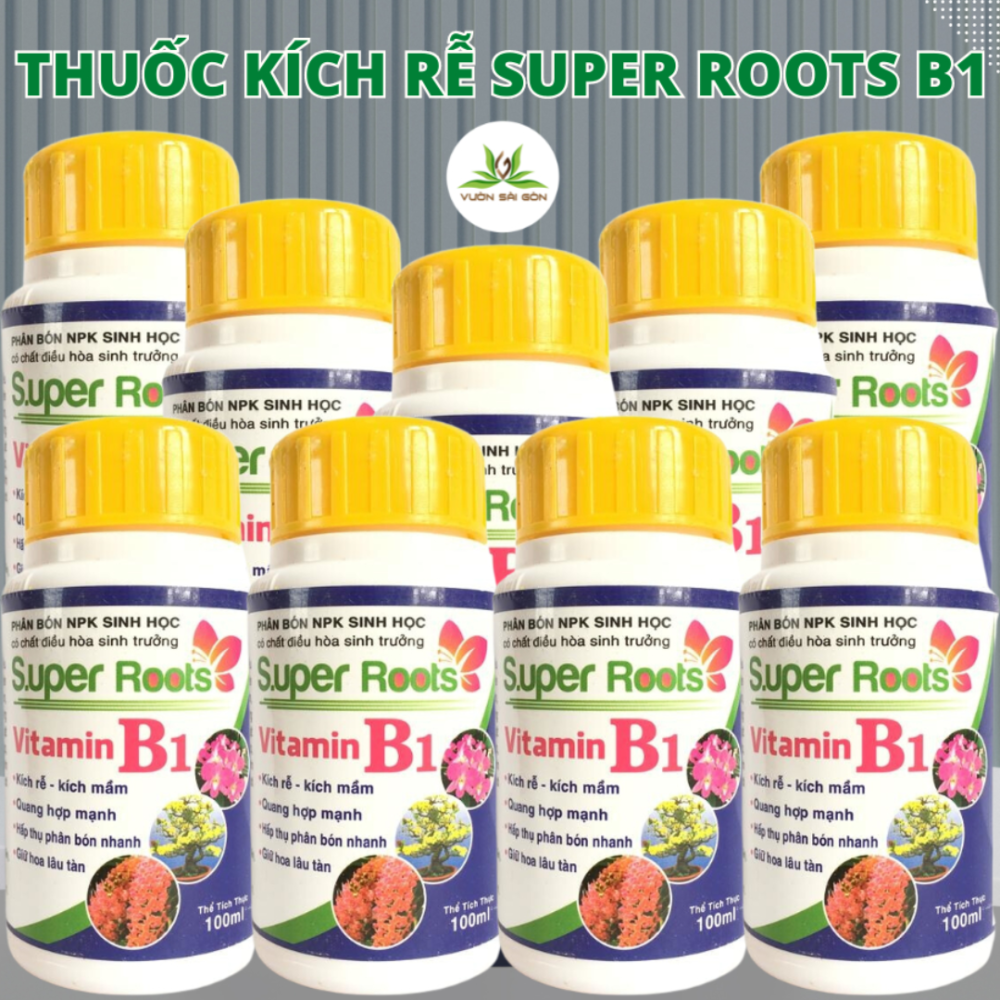 Phan Bon Sinh Hoc Npk Super Roots B1