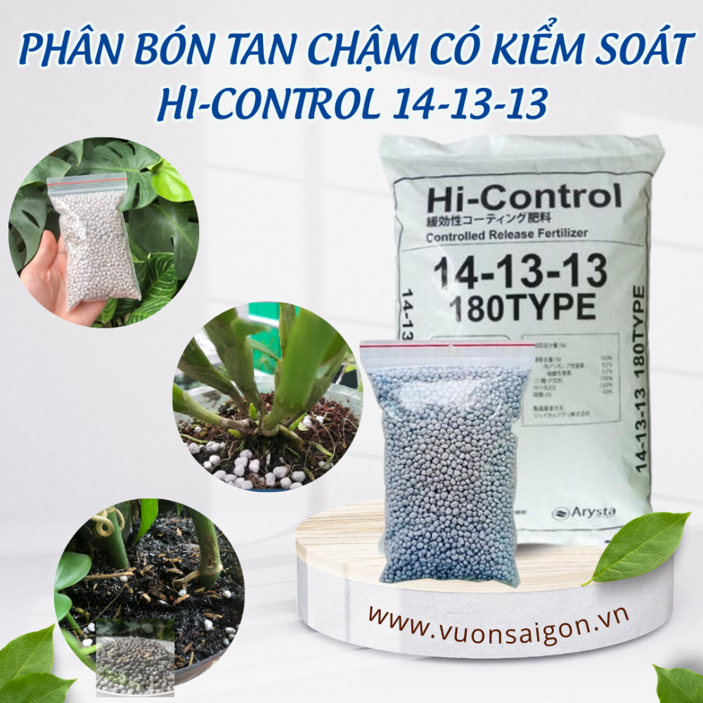 Phan Bon Tan Cham 14 13 13