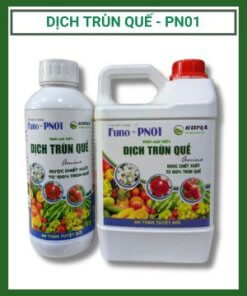 Phan Bon Vi Luong Dich Trun Que Funo Pn01