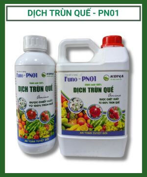 Phan Bon Vi Luong Dich Trun Que Funo Pn01