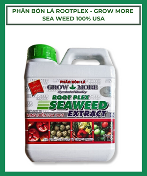 Phan Seaweed Extract
