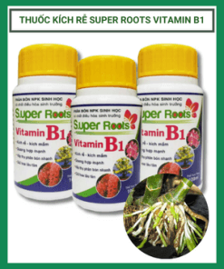 Thuoc Kich Re Super Roots Vitamin B1