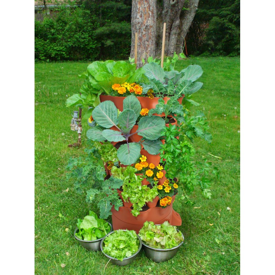 tháp trồng rau eco 3