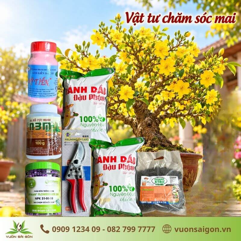 Vật tư chăm sóc mai
