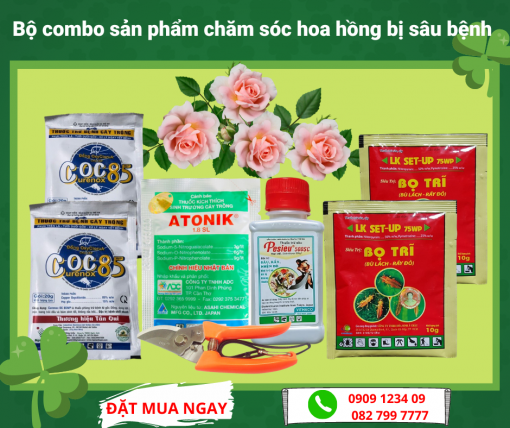 Combo San Pham Cham Soc Hoa Hong Bi Benh