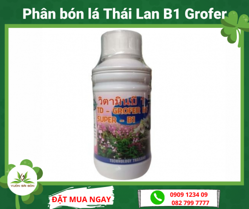 Phan Bon La Thai Lan B1