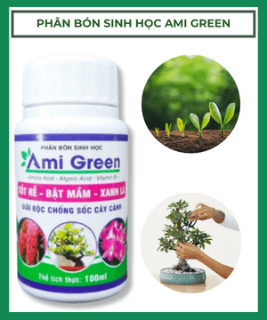 Phan Bon Sinh Hoc Ami Green