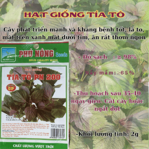 Bao Bì Mới (3)
