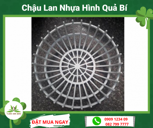 Chau Lan Nhua Hinh Qua Bi