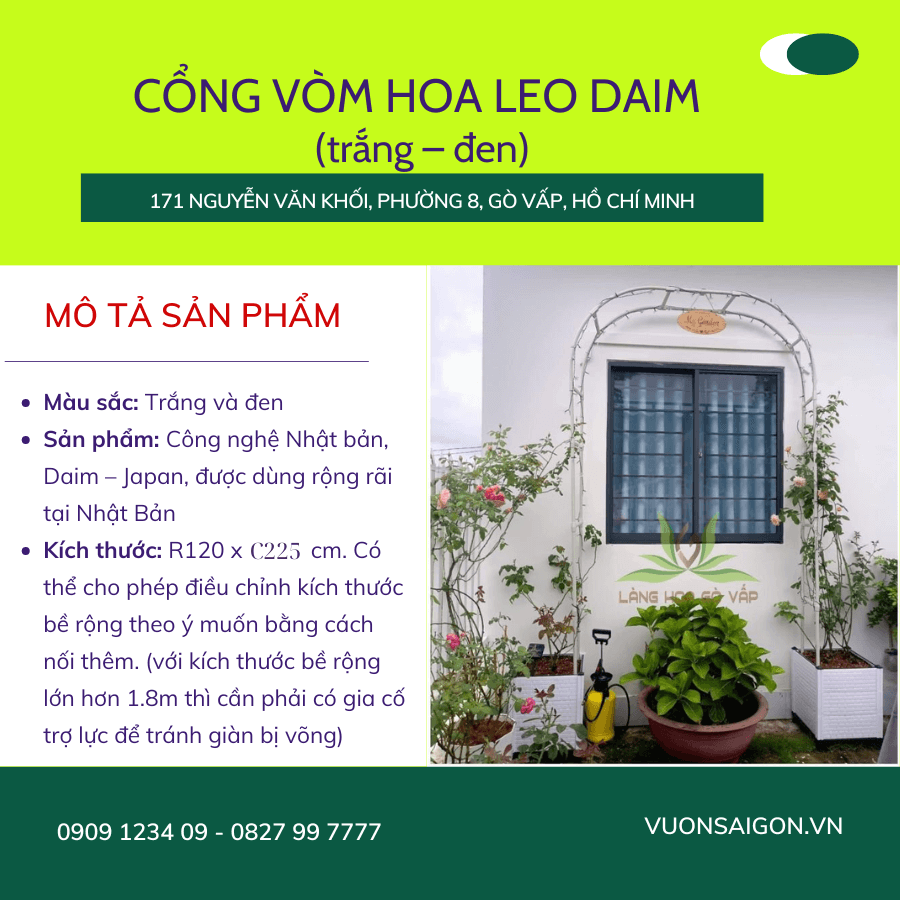 Cong Vom Hoa Hong 5