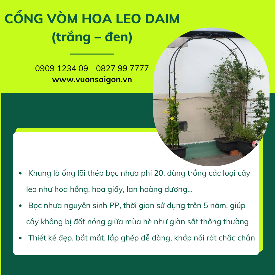 Cong Vom Hoa Leo Daim (1)