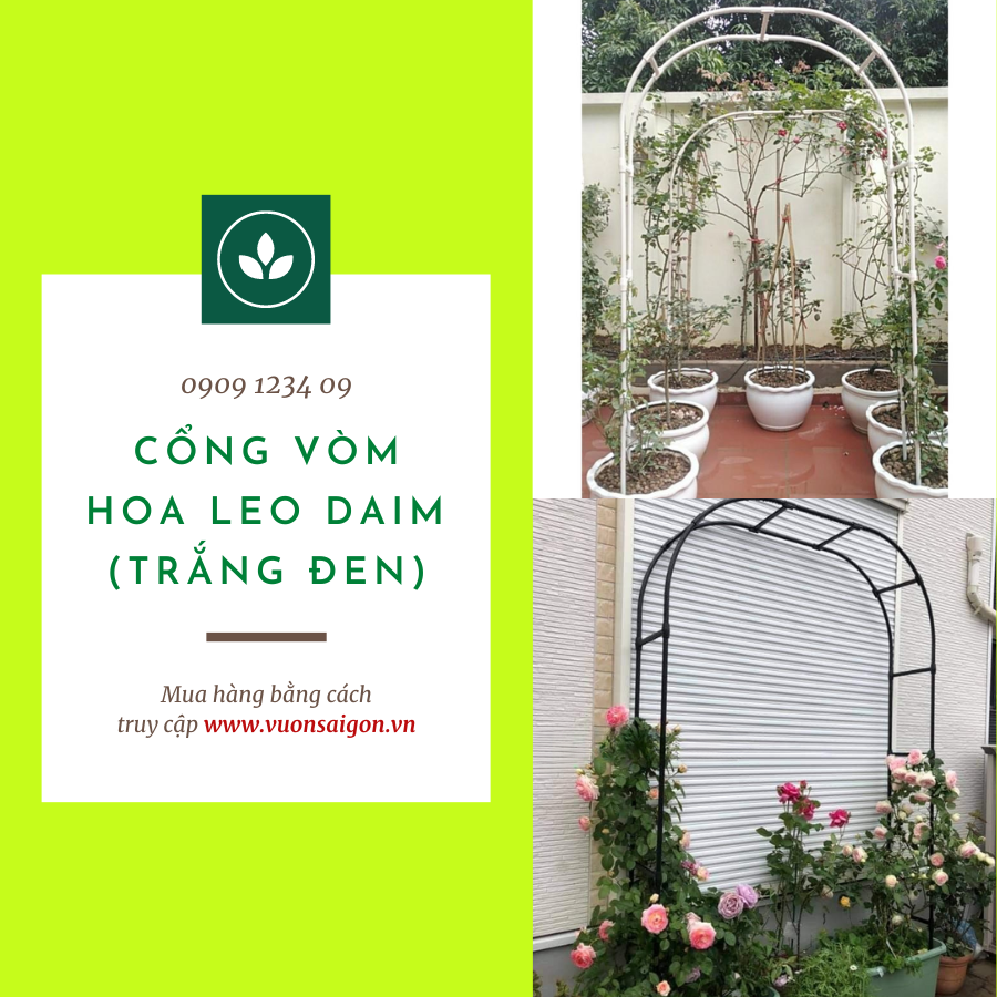 Cong Vom Hoa Leo Daim (3)