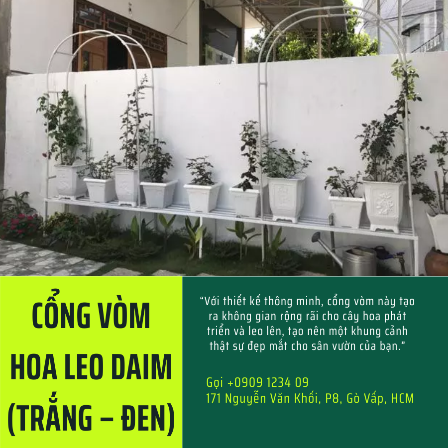 Cong Vom Hoa Leo Daim