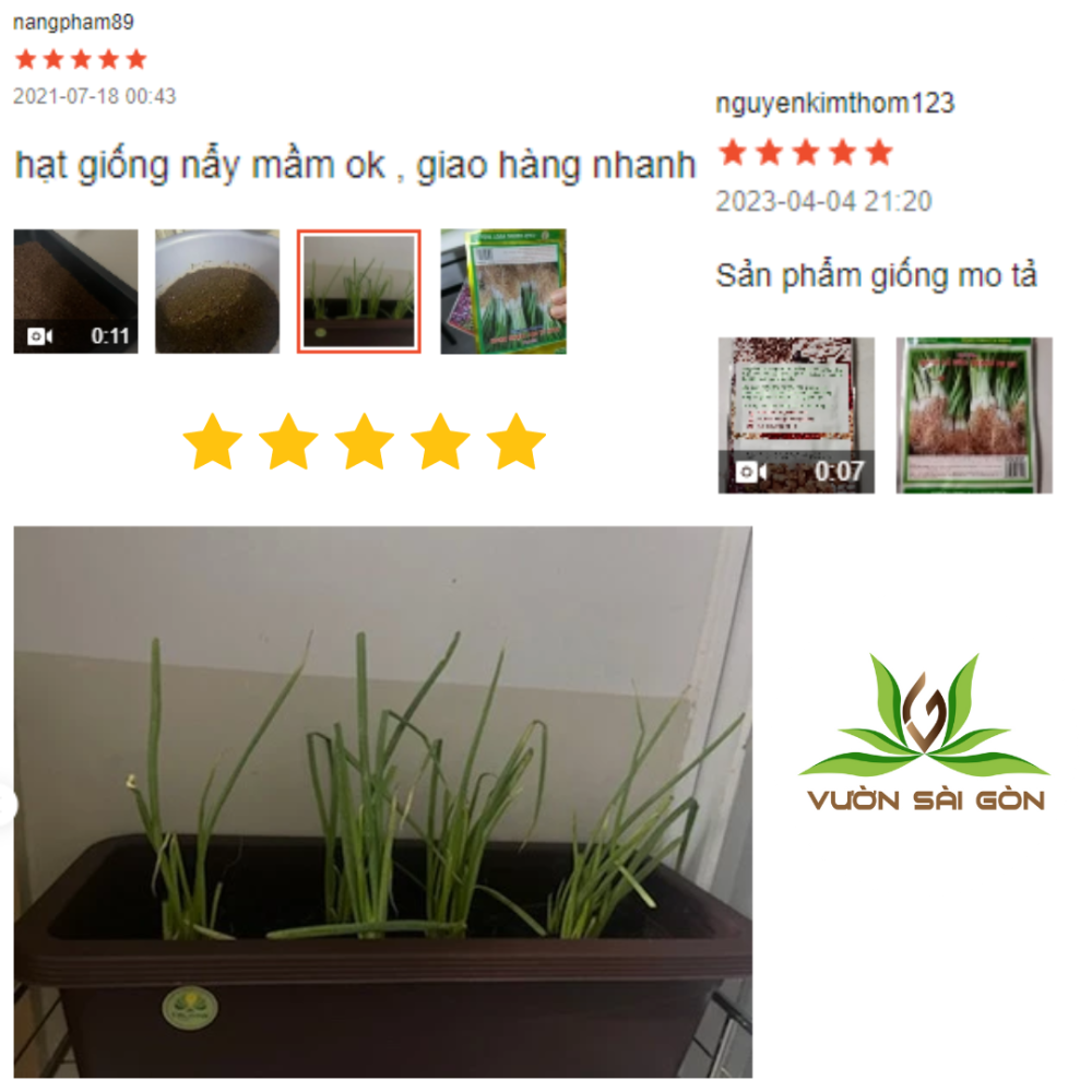 Hat Giong Hanh La Goc Trang (2)