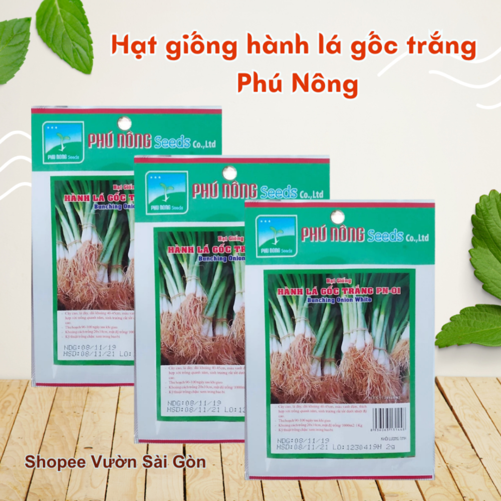 Hat Giong Hanh La Goc Trang