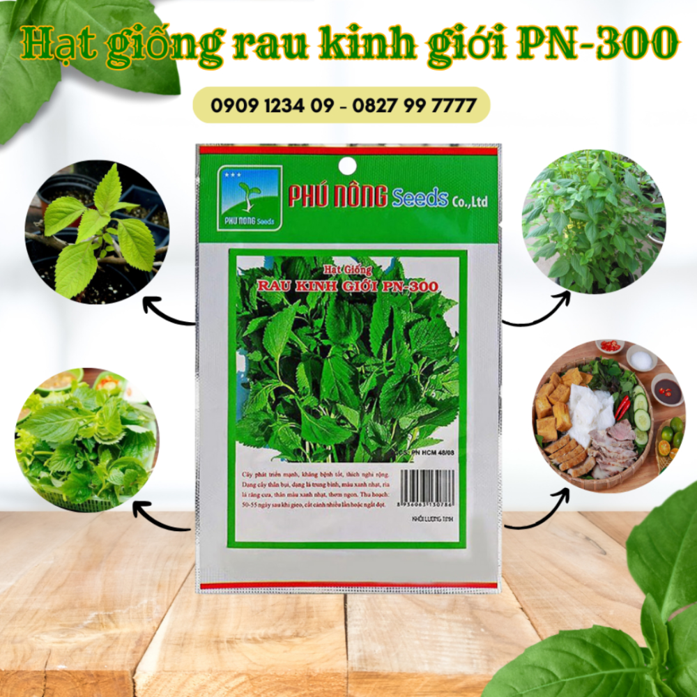 Hat Giong Rau Kinh Gioi (6)