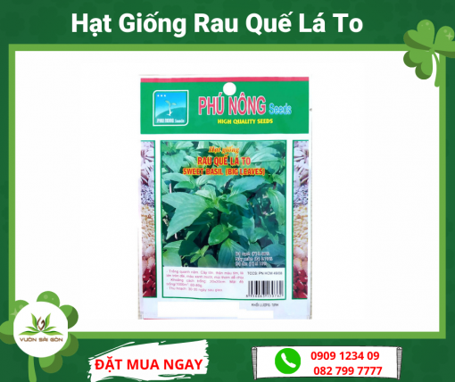 Hat Giong Rau Que La To Phu Nong